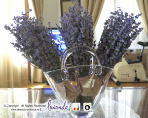 buchete lavanda - FRESH LAVENDER BOUQUETS - by Lavanda Plant Craiova Romania