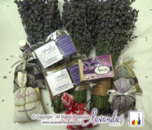 produse-lavanda-by-lavanda-plant-craiova-romania